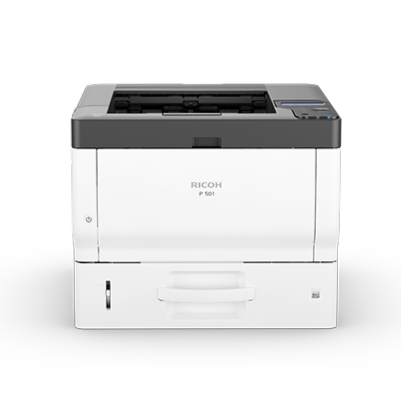 P 501